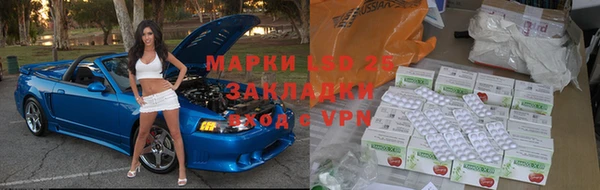 прущие грибы Киреевск