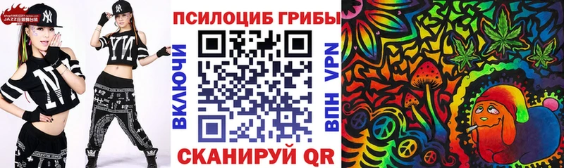 Галлюциногенные грибы Psilocybine cubensis  Купить закладки  Сургут 